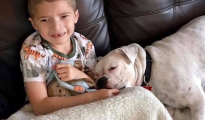 Este niño es mudo y encontró a su mejor amigo en el perro sordo de la familia que lo adoptó
