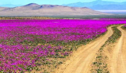 El Desierto de Atacama obtuvo el segundo lugar dentro de las 52 bellezas naturales mundiales
