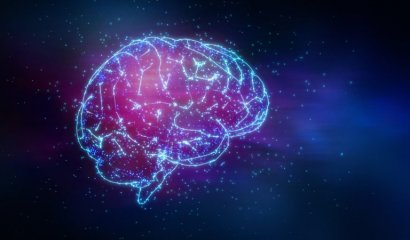 Científicos creen haber encontrado el lugar del cerebro donde se aloja la consciencia humana