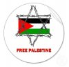 free palestina.jpg