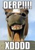 caballo derp.jpg