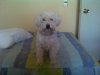 17022010_002.jpg