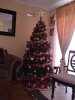 IMG-20161206-WA0000.jpeg