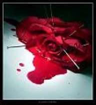 :::_ALeCiTA_:::