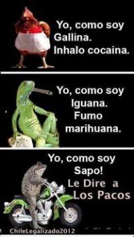 alexis_yo