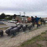 patoasdaasda