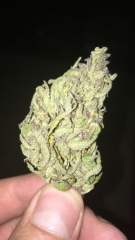 Caco92