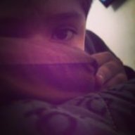GatoLoxco