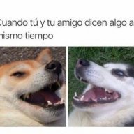 Carlosjsudjakdjaidbsj