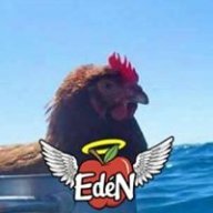 Cesarararrrrararar