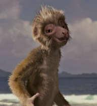 Zini