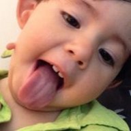 Rockordo