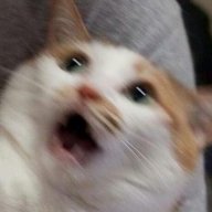 svetlana20