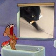 lolitsgay