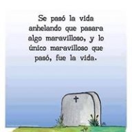 4patas