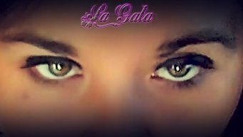 Lagatae