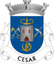 cesar_tomy