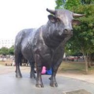 Eduardo 233