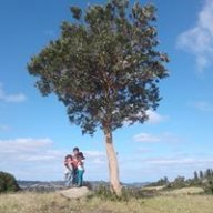 Lokhillo20