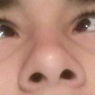 Shishibossjere