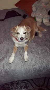 Osita22