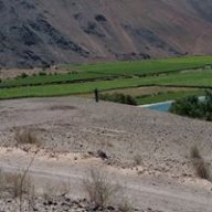 Elfenizperuca