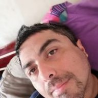 elmaurolobo