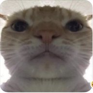 5411721