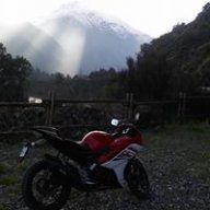 Penquista21cmts