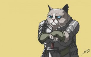 Chad Gato Ql