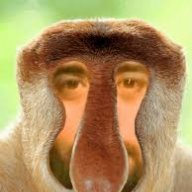 Yewedido
