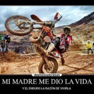 Andino88