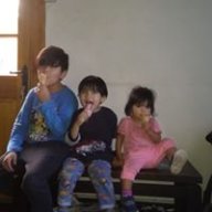 Chinodayvi