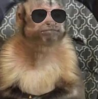 Barbonloco