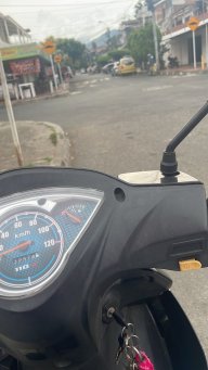 Davj208306