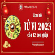 tuvi2023phongthuyso
