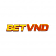 betvndpro