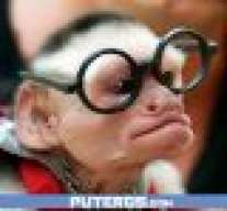 rovigur