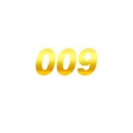 009casinocity