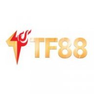 tf88zone