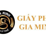 giayphepgm