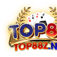 top88znet