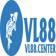 vlcenter