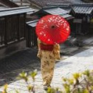 Tour Tết