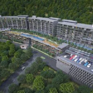 Prestige Evergreen