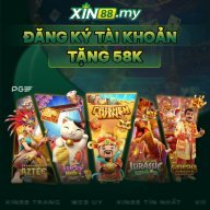 xin88 .my