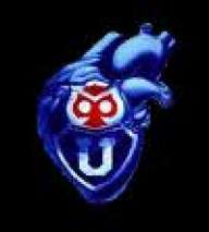 josesin10