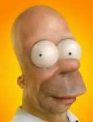 llamarada_homero