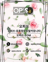 강남인샵 오피쓰COM 강남인샵
