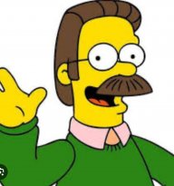Nedflanders98